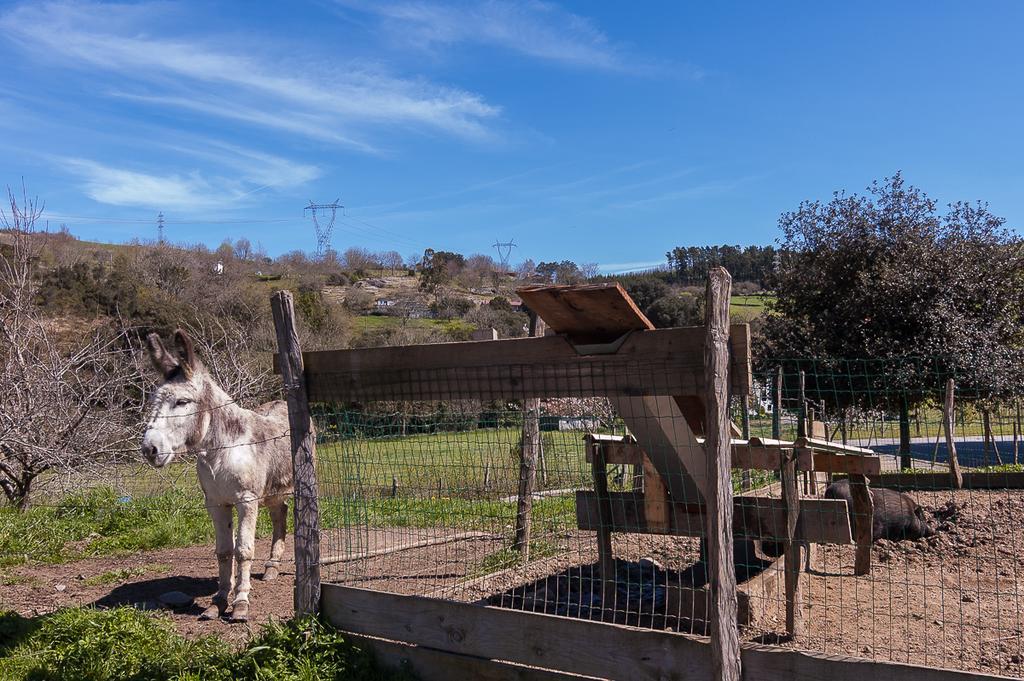 Casa Rural Restaurante Aranburu 세스토아 외부 사진